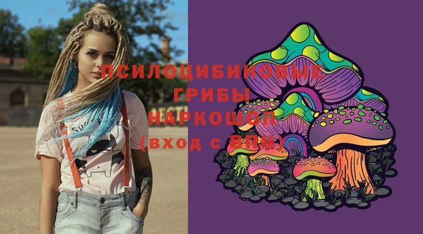 твердый Балахна